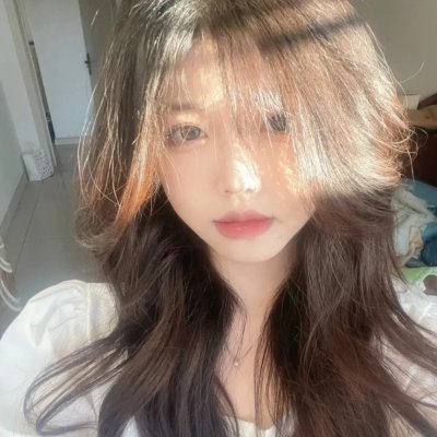狗狗与我的十个约定